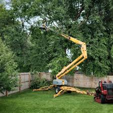 Best Arborist Consultation Services  in Chandler, OK