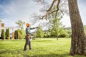 Best Lawn Drainage Solutions  in Chandler, OK