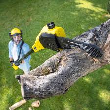 Best Pest Control for Lawns  in Chandler, OK