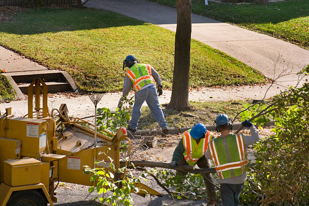 Best Seasonal Cleanup (Spring/Fall)  in Chandler, OK