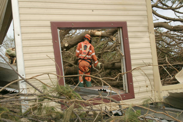 How Our Tree Care Process Works  in  Chandler, OK