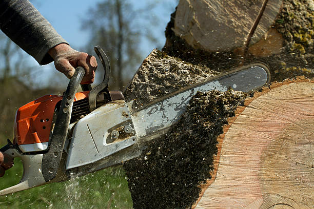  Chandler, OK Tree Services Pros